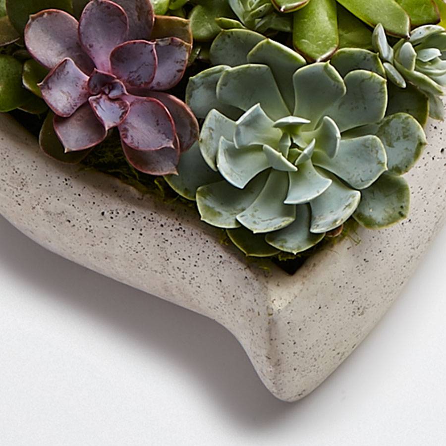 Sweet Succulent Heart Garden